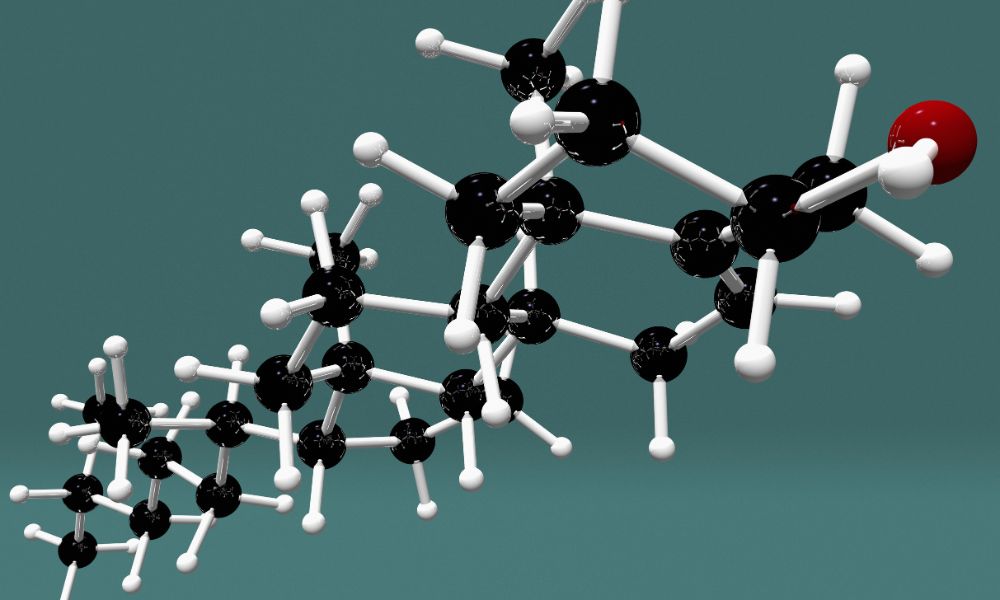 Fast and Reliable Clipping Path Services for All Your Needs